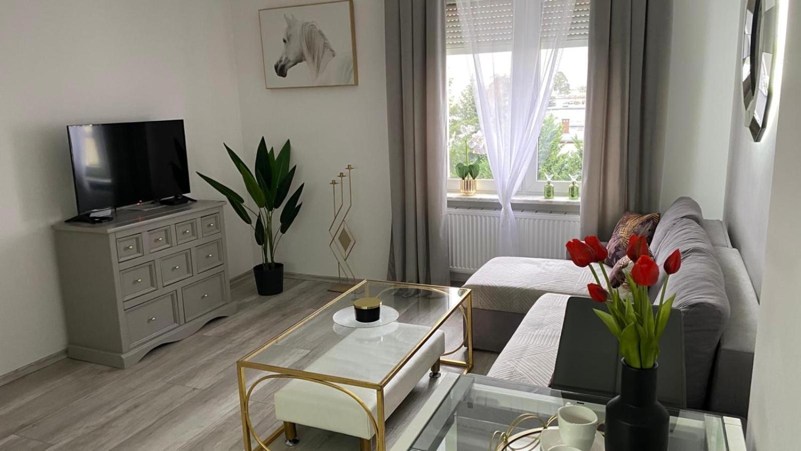 Gdanska 230 Apartment *